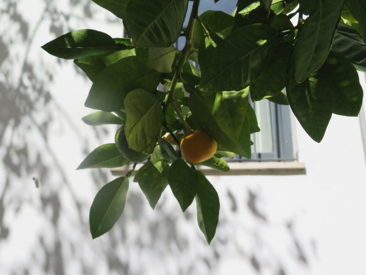 Chiado Bairro Alto, Bright And Newly Renovated 3 Bedroom Apartment, Lisbon Historical Center 外观 照片